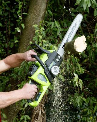 lawnmaster chainsaw