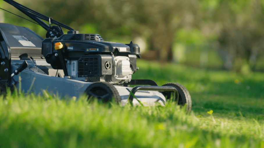 Your Essential Toolkit: The Top Outdoor Power Equipment Every Kiwi Homeowner Should Have
